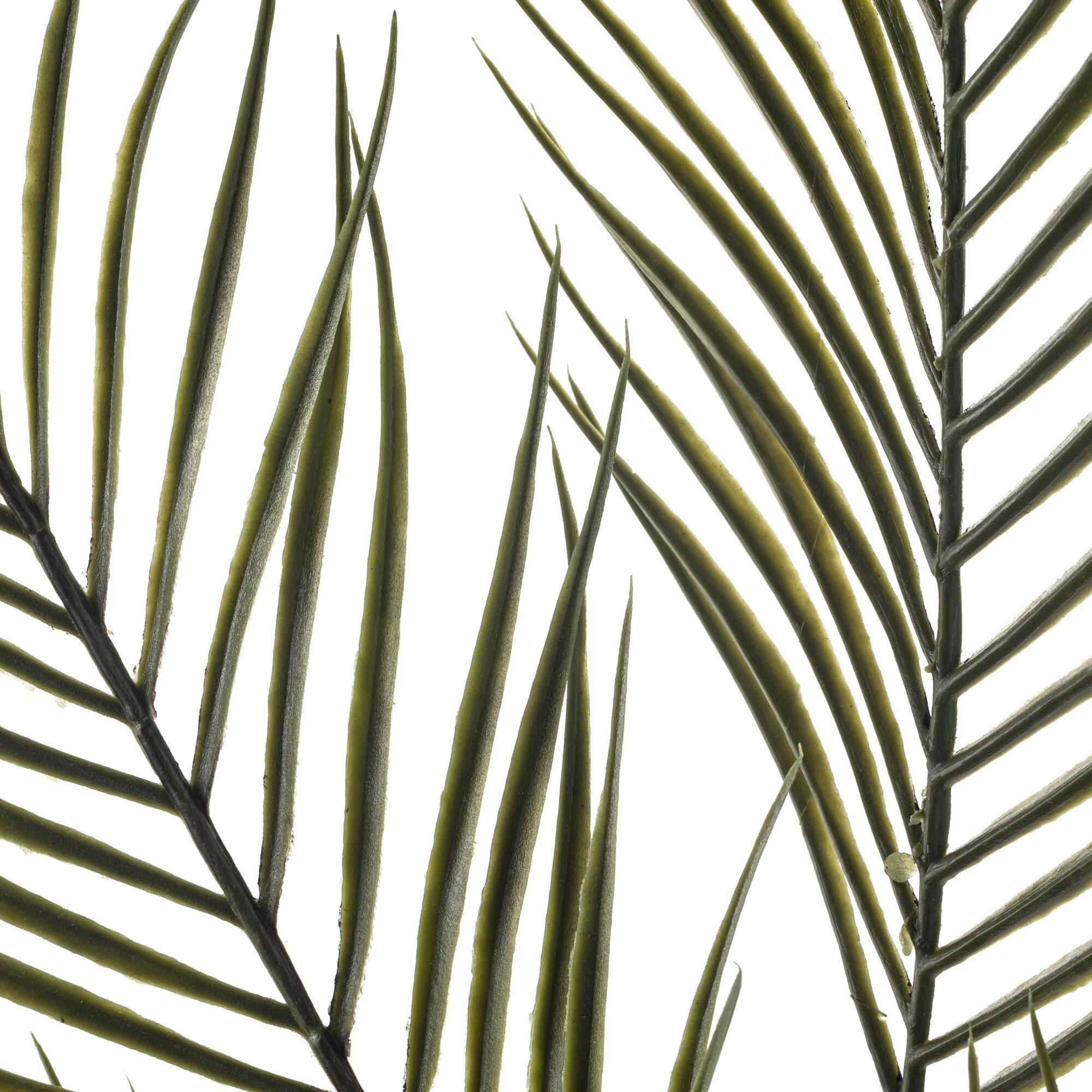 12 Pack: Green Tropical Areca Palm Stem by Ashland®